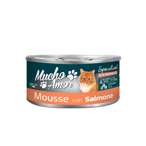 Mousse con salmone