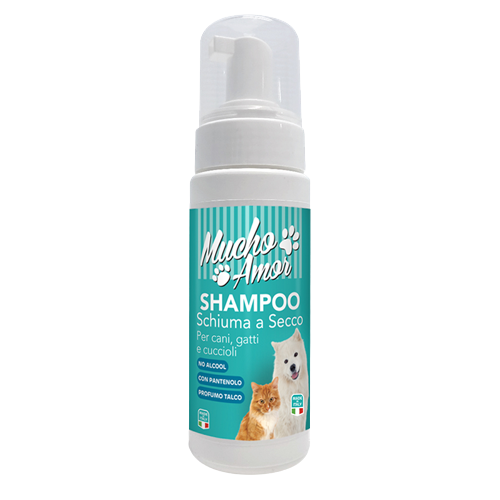 Shampoo schiuma a secco (200ml)